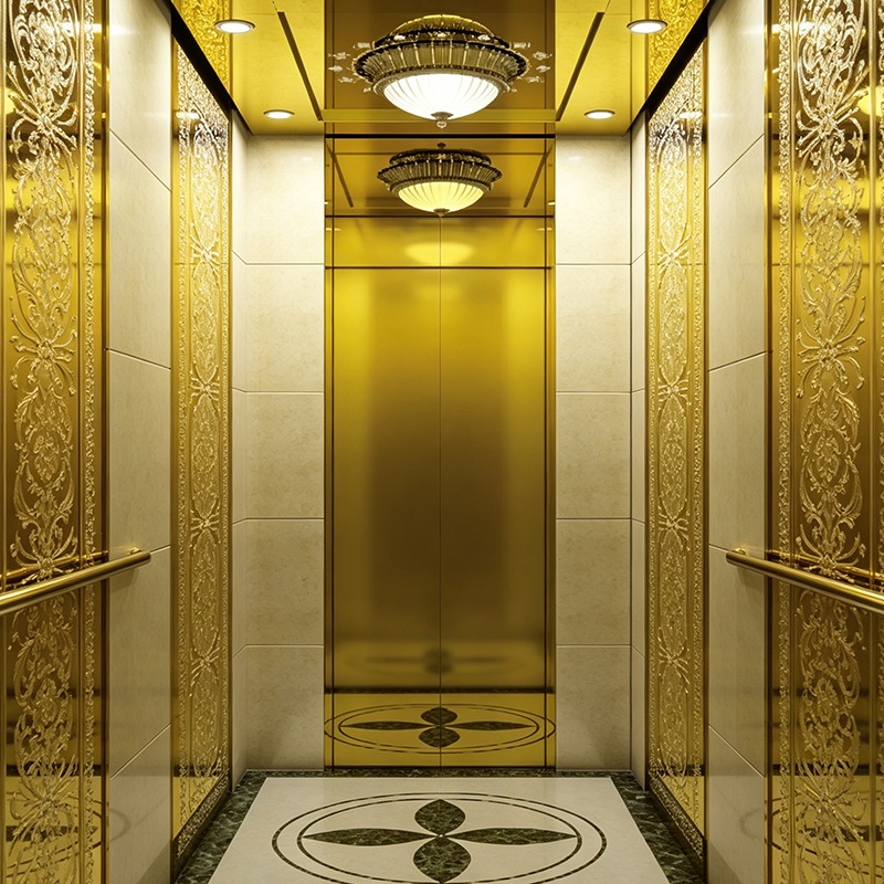 Golden Age Titanium Hochglanz-Luxus-Heimlift